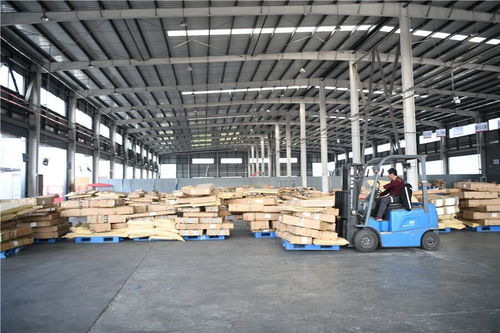 昔日破爛村，今朝變美致富曲——室內裝飾材料銷售引領鄉村振興