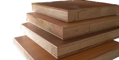 臨沂豐葉十大品牌與豐邦植物醫院 室內裝飾材料銷售的雙重優勢